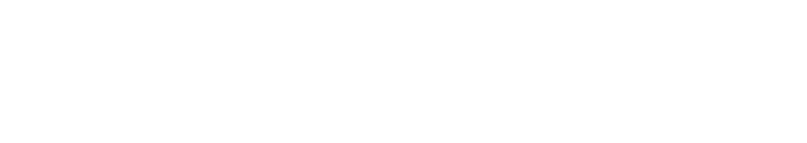 Tampa Bay Partnership